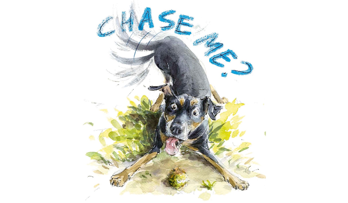 An illustration from the book "Nose to Nose" by Thyra Heder