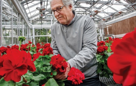 Jackson, director of Brown&rsquo;s Plant Environmental Center, with his hand-tended Commencement geraniums